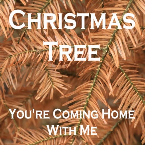 Christmas Tree You're Coming Home With Me