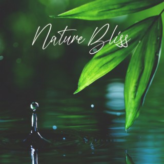 Nature Bliss: Relaxing Music with Nature Sounds for Sleep and Meditation