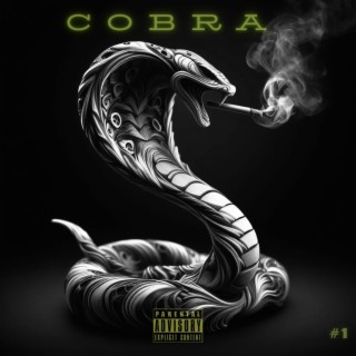 Cobra 1