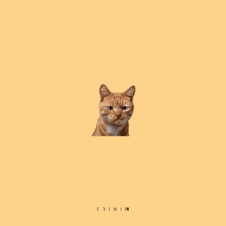 Angry Cat | Boomplay Music