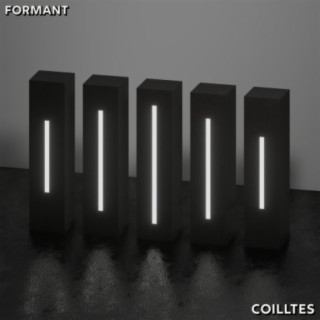 Formant