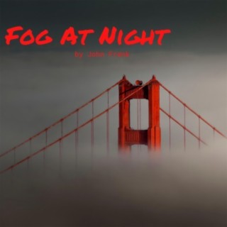 Fog At Night