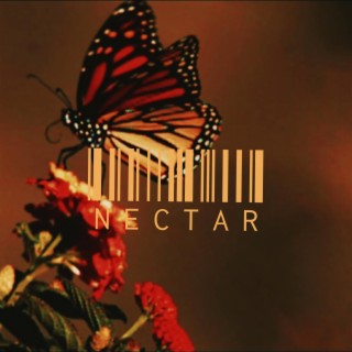 NECTAR