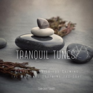 Tranquil Tunes: Gentle Melodies for Calming the Mind and Soothing the Soul