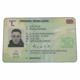 Provisional License