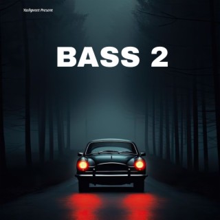 Bass 2