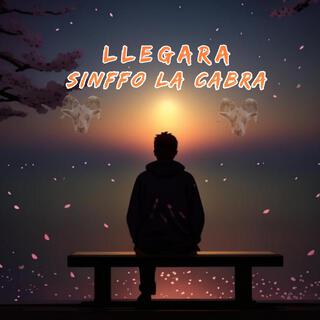 Llegara