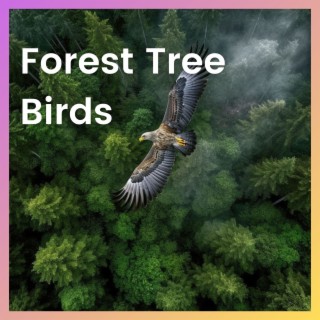Forest Tree Birds