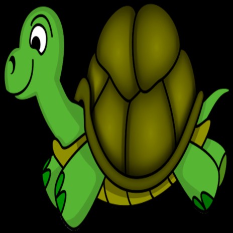 Mr. Turtle | Boomplay Music