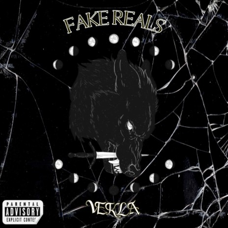 Fake Reals | Boomplay Music