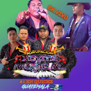 Noviembre sin ti (xoyita musical en vivo)