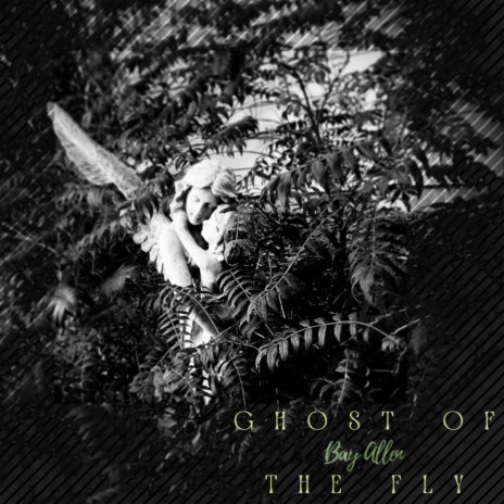 Ghost of the Fly | Boomplay Music