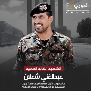 الشهيد عبدالغني شعلان