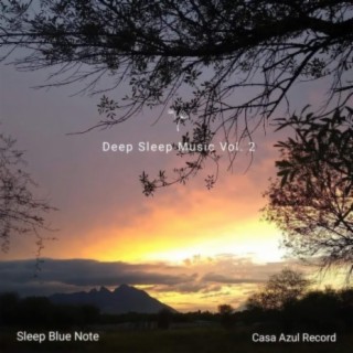 Deep Sleep Music, Vol. 2