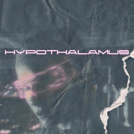hypothalamus | Boomplay Music