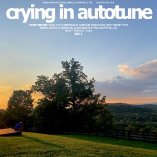 Crying In Autotune lyrics | Boomplay Music