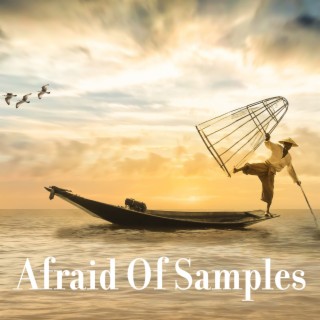 Afraid Of Samples