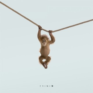 Monkey (Live Looping Remix)
