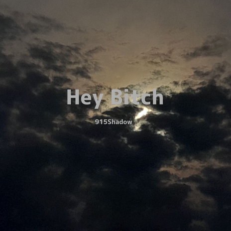 Hey Bitch | Boomplay Music