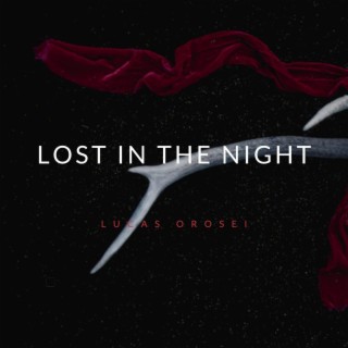 Lost in the Night