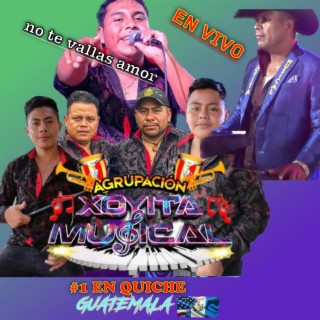 No te vayas amor (xoyita musical en (vivo) con la voz de Héctor Gutiérrez) (En vivo)