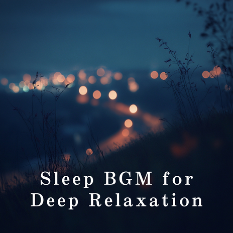 Silent Calm Embrace | Boomplay Music