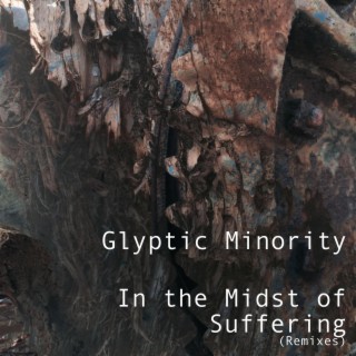 In The Midst Of Suffering (Remixes) (Remix)