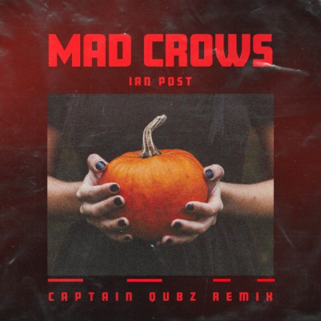 Mad Crows - Captain Qubz Remix (Instrumental Version) ft. Ian Post