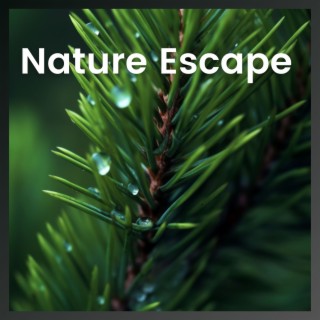 Nature Escape