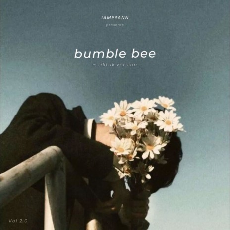 bumble bee (Tiktok Version) | Boomplay Music