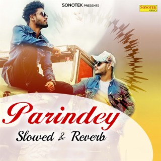 Parindey Slowed & Reverb