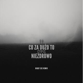 Co Za Dużo To Niezdrowo (Biggy See Remix)