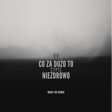 Co Za Dużo To Niezdrowo (Biggy See Remix) ft. Cypis | Boomplay Music