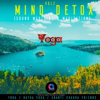 Mind Detox (Sound Medicine & Meditation) Vol.2