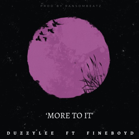 MORE TO IT ft. FINEBOYD | Boomplay Music