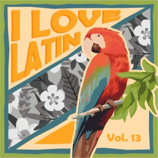I Love Latin, Vol. 13