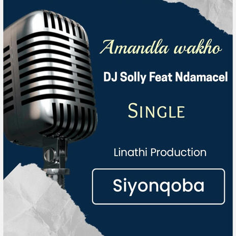 Siyonqoba (Radio Edit) | Boomplay Music