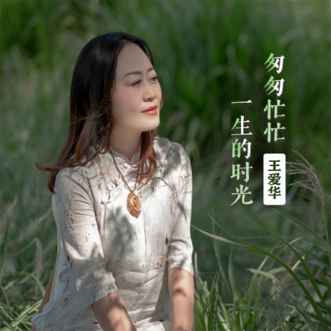 匆匆茫茫一生的时光 | Boomplay Music