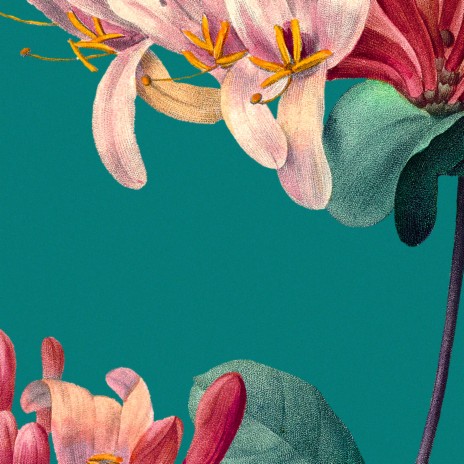 flora (pollen) ft. Dale Richman