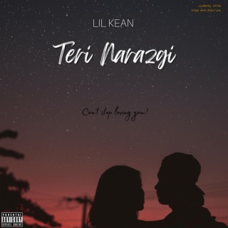 Teri Narazgi lyrics | Boomplay Music