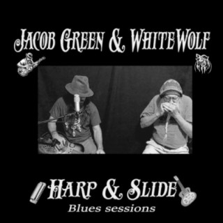 Harp & Slide Blues Sessions