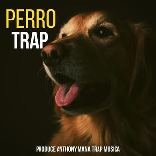 Perro