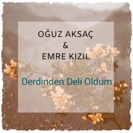 Derdinden Deli Oldum ft. Emre Kızıl | Boomplay Music