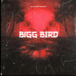 BiGG BIRD