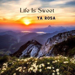 Life Is Sweet