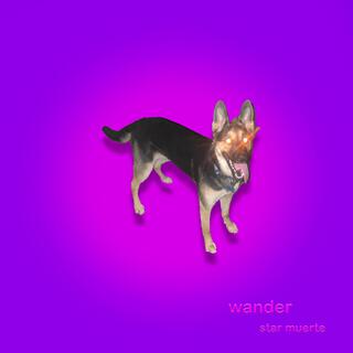 wander lyrics | Boomplay Music