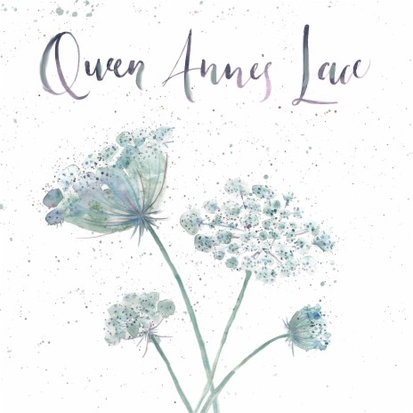 Queen Anne's Lace | Boomplay Music