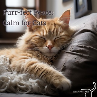 Purr-fect Peace: Calm for Cats