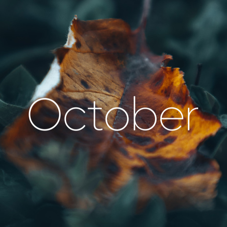 October ft. Don Ladno | Boomplay Music