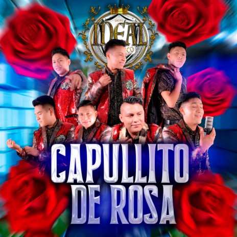 Capullito de Rosa | Boomplay Music